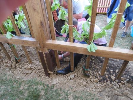 KNOBLEHARJEVO 2013 - 40LET DRUŠTVA VINOGRADNIKOV 7